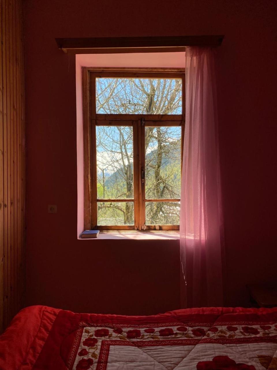 Lia Jamdeliani Guest House Bagvdanari Cameră foto