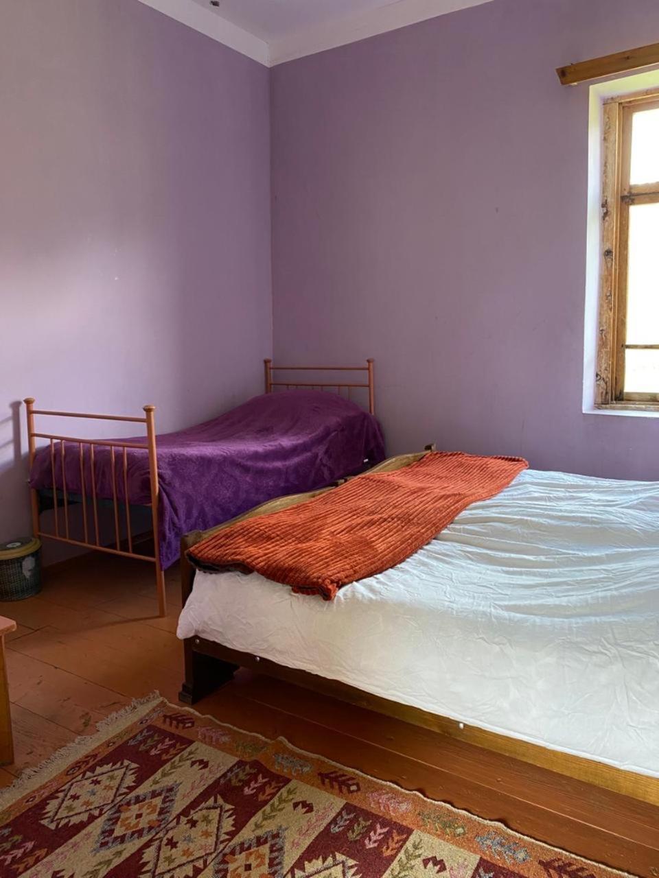 Lia Jamdeliani Guest House Bagvdanari Cameră foto